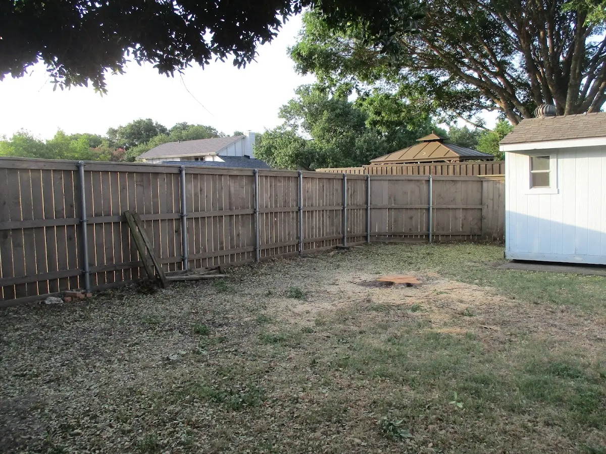 Cleared yard after professional tree removal in American Fork
